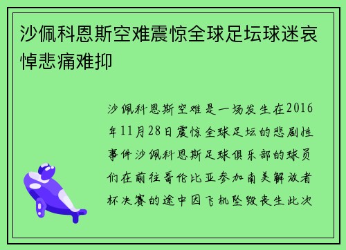 沙佩科恩斯空难震惊全球足坛球迷哀悼悲痛难抑 沙佩科恩斯空难震惊全球足坛球迷哀悼悲痛难抑